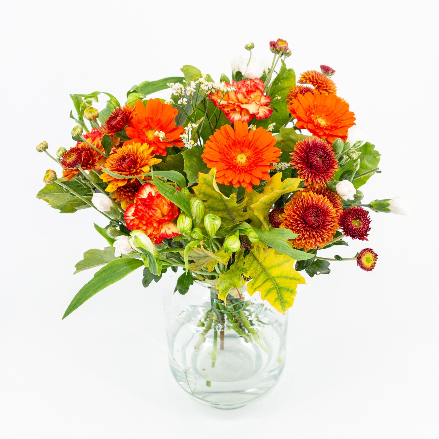 Charmant_image_6