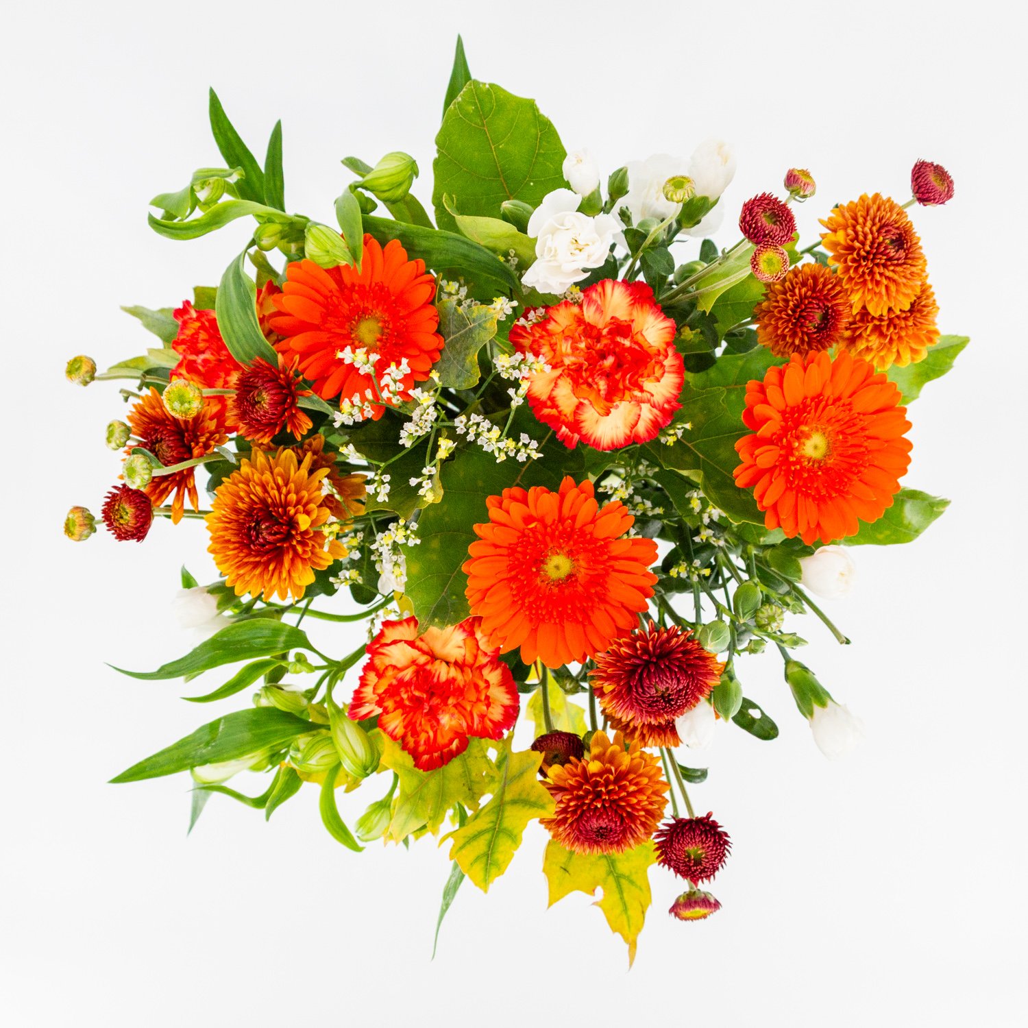 Charmant_image_1