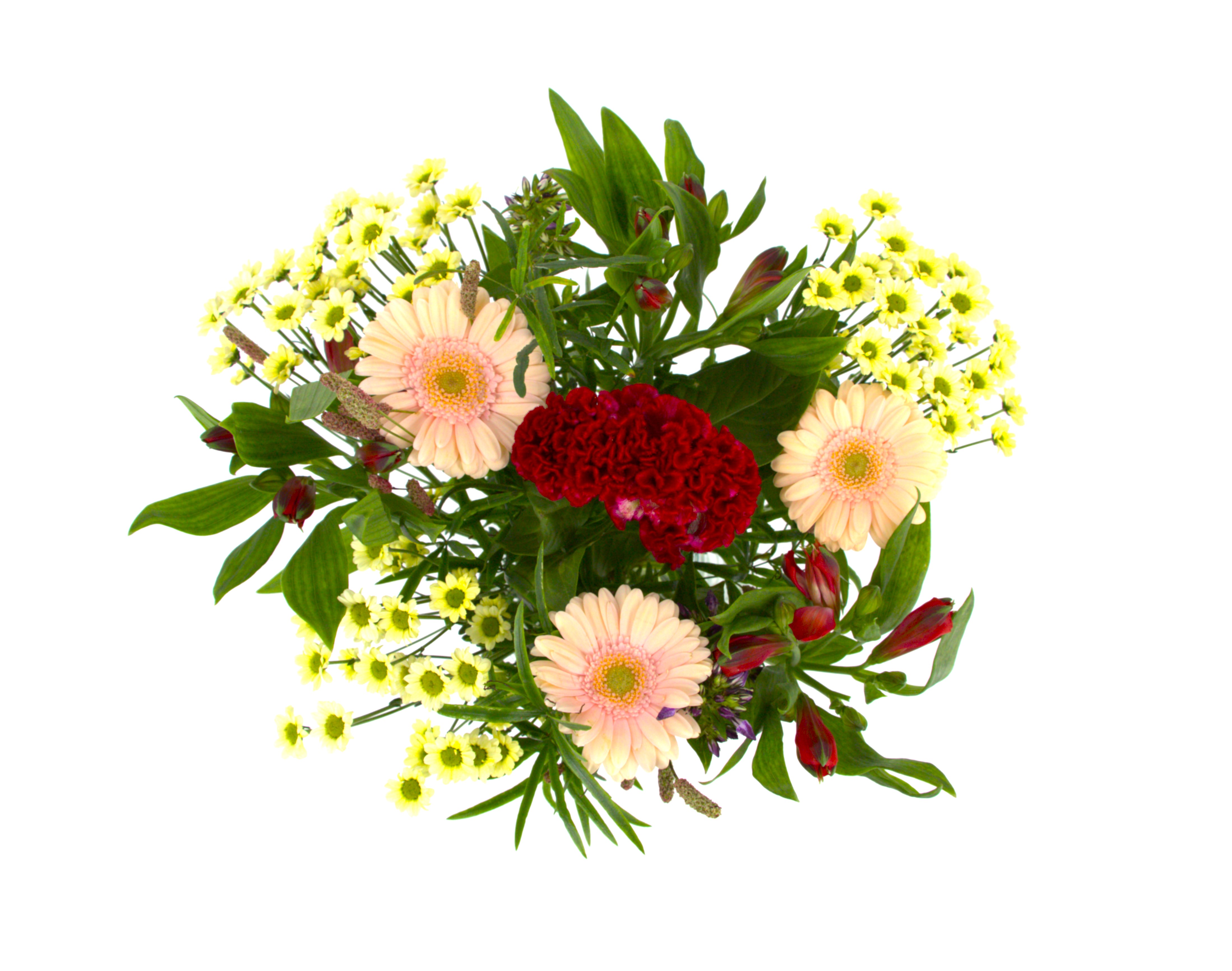 Charmant_image_6