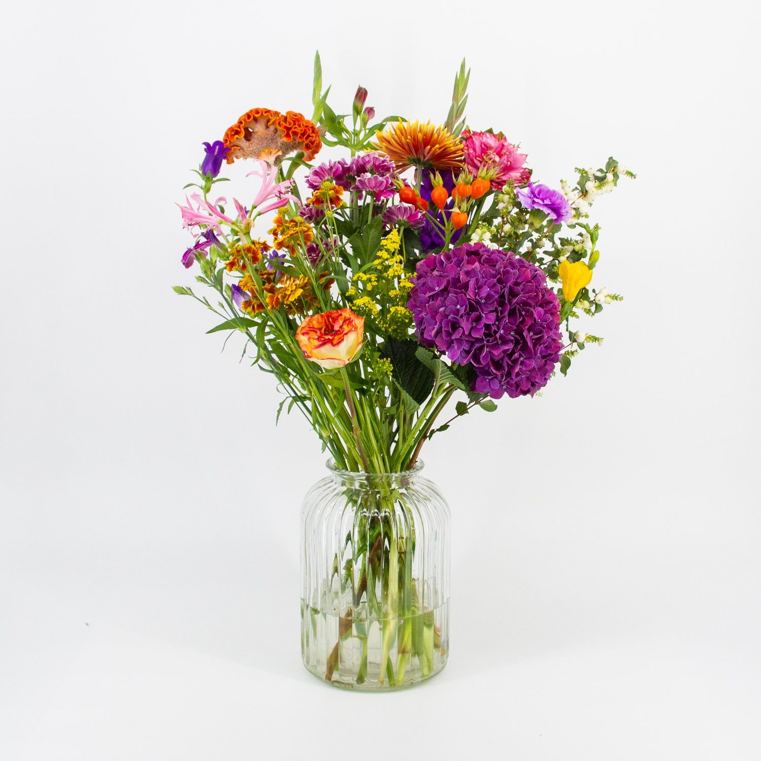 Heel Lief_image_1