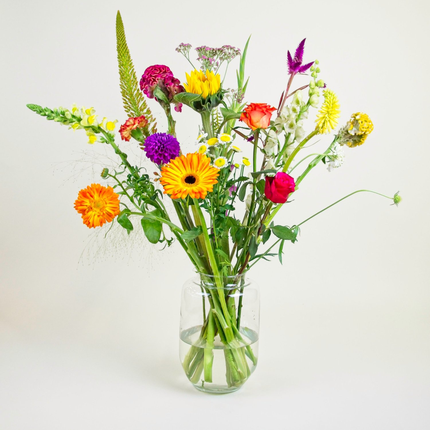 Heel Lief_image_1