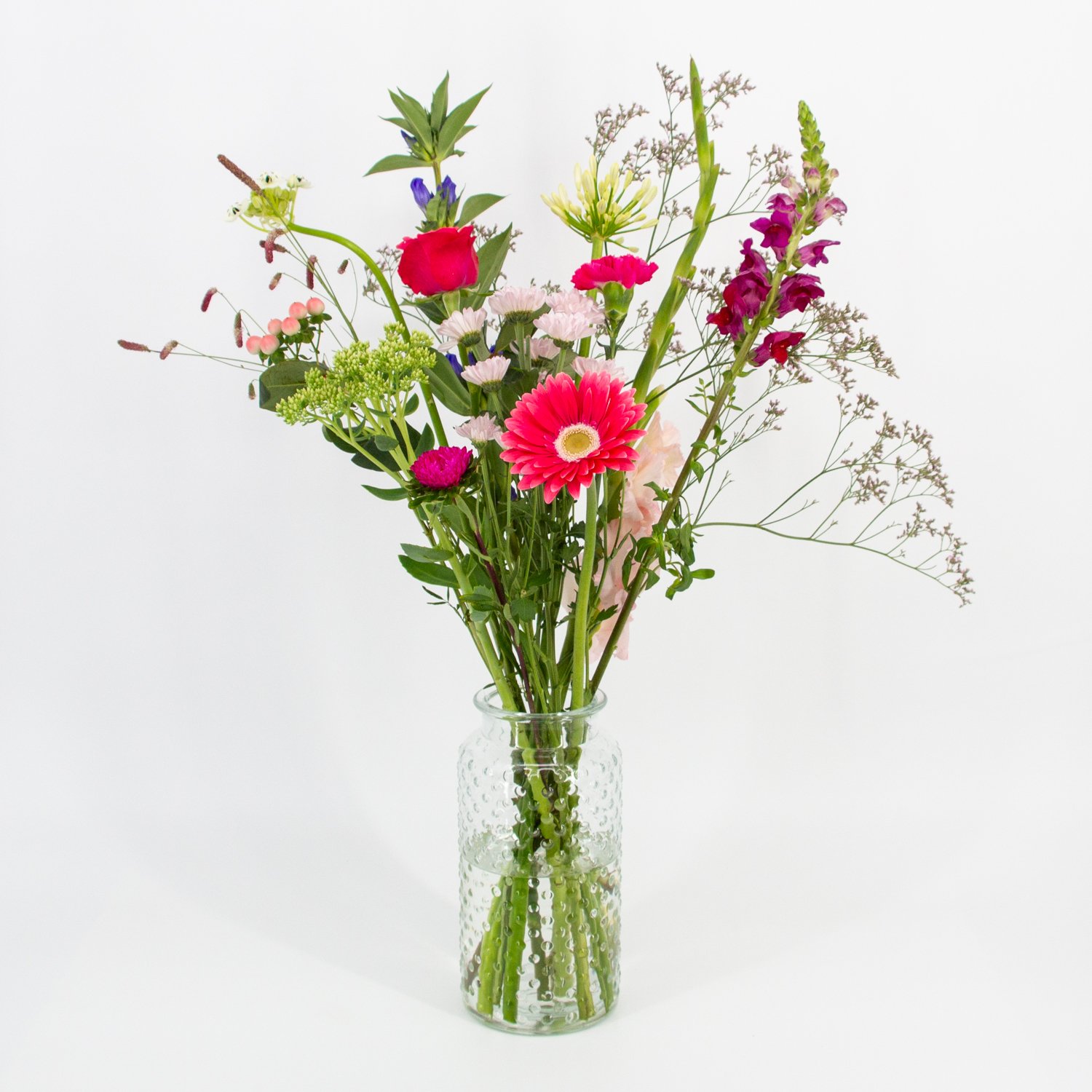 Lief_image_1