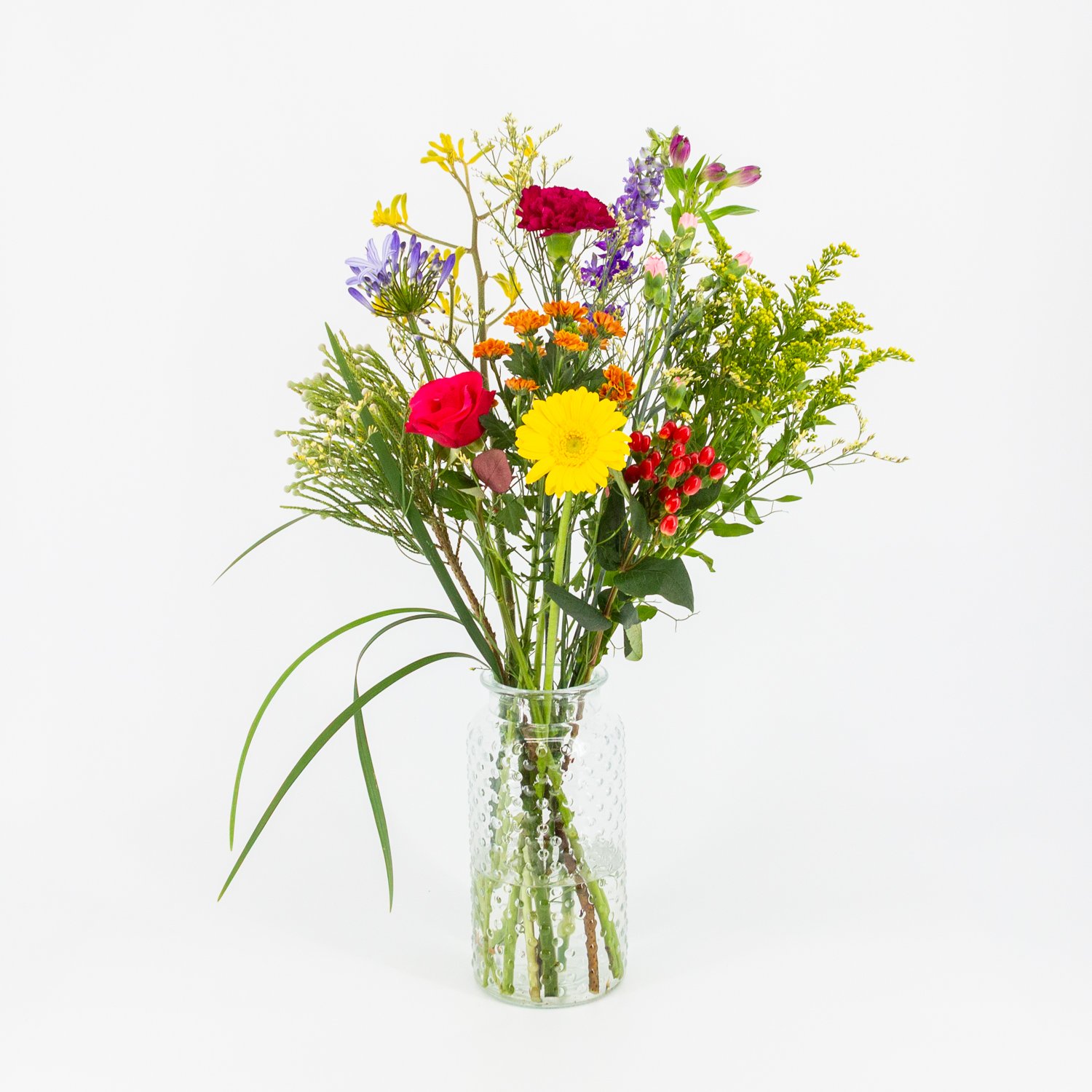 Lief_image_1