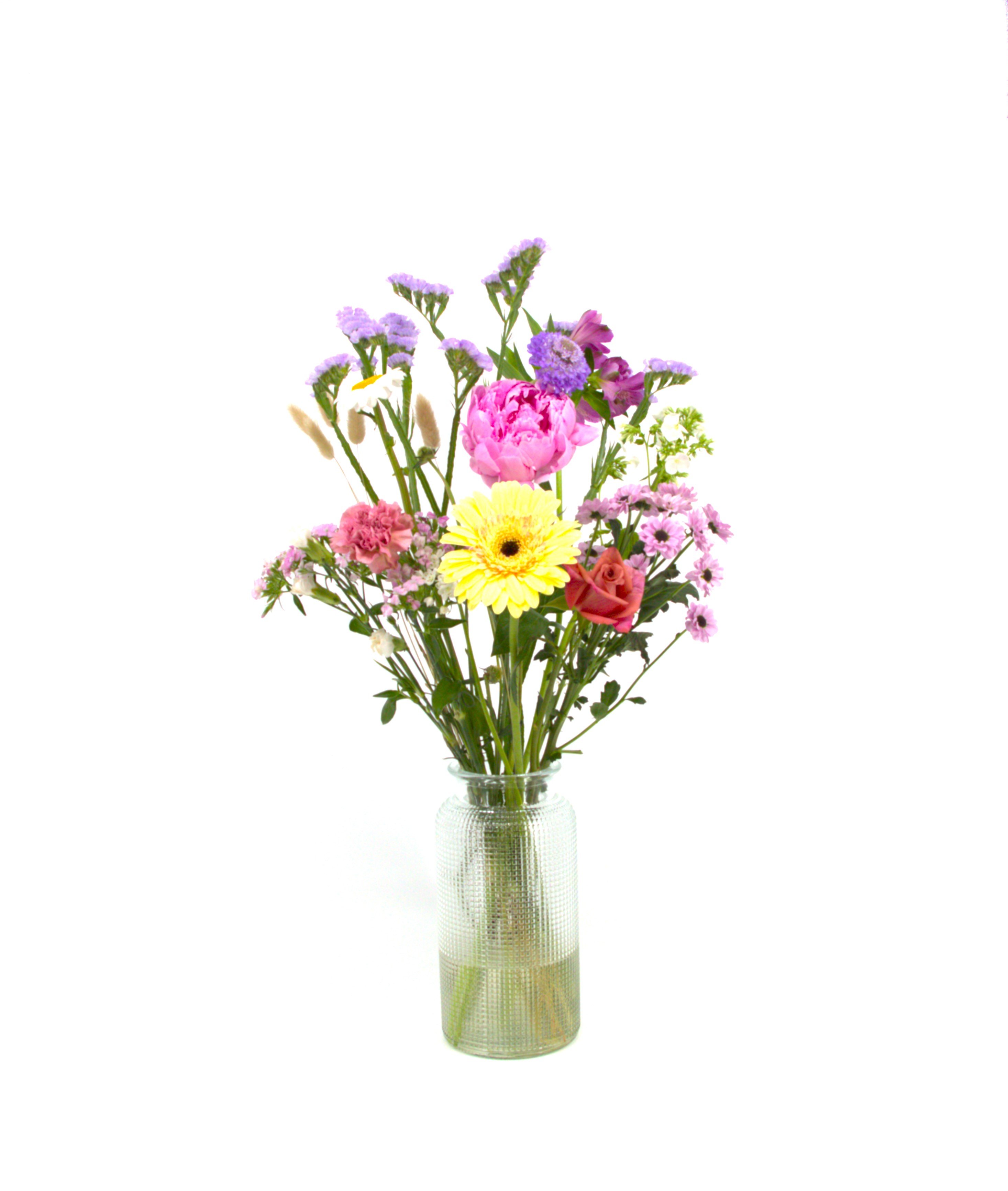 Lief_image_1