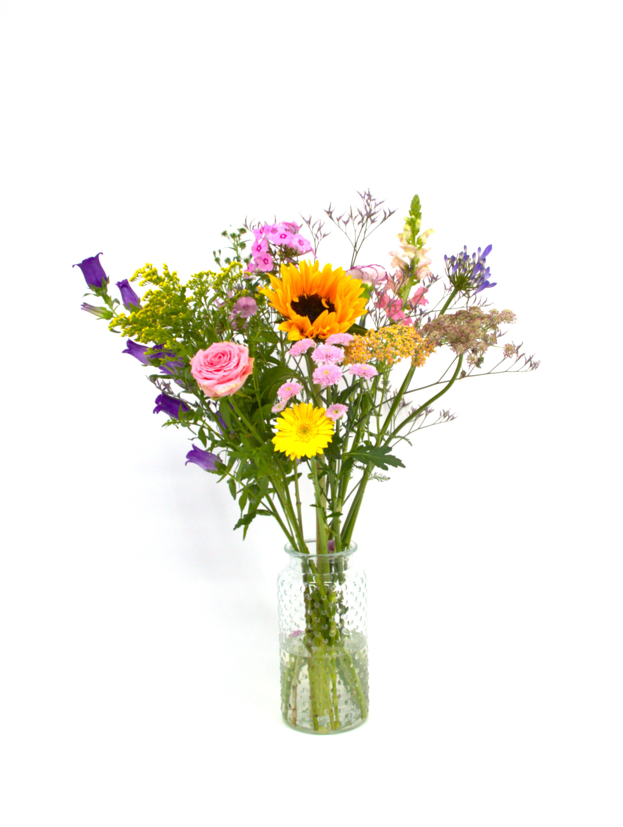 Lief_image_1