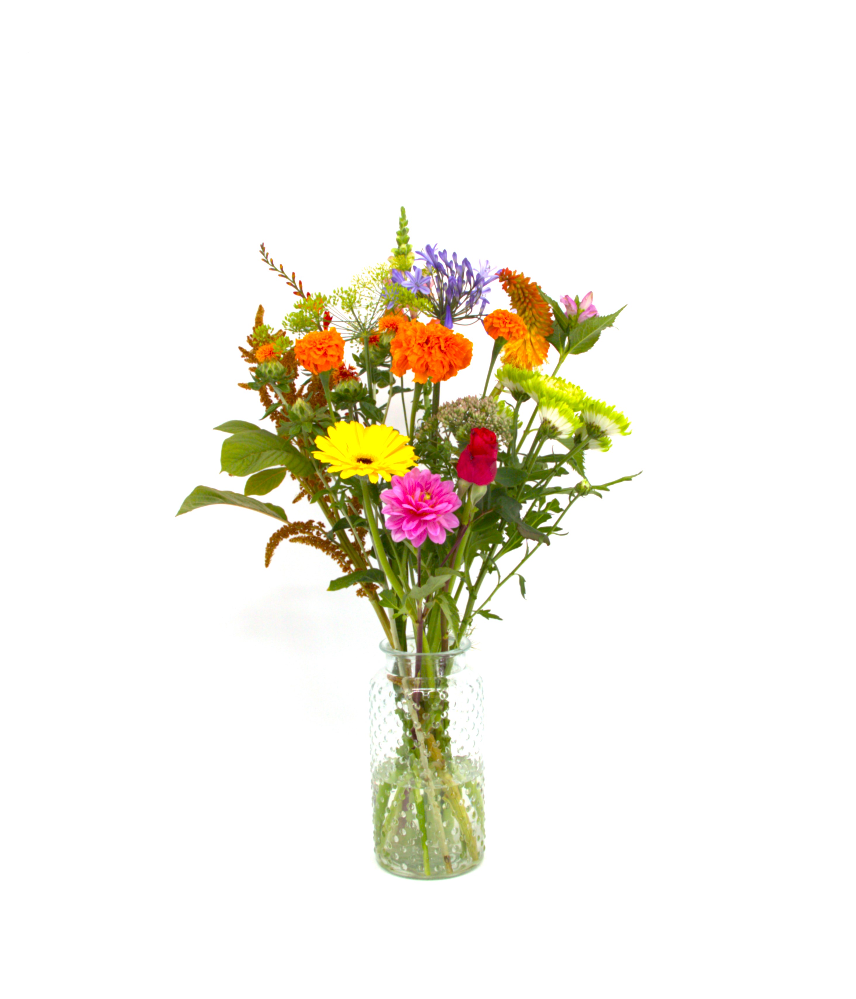 Lief_image_1