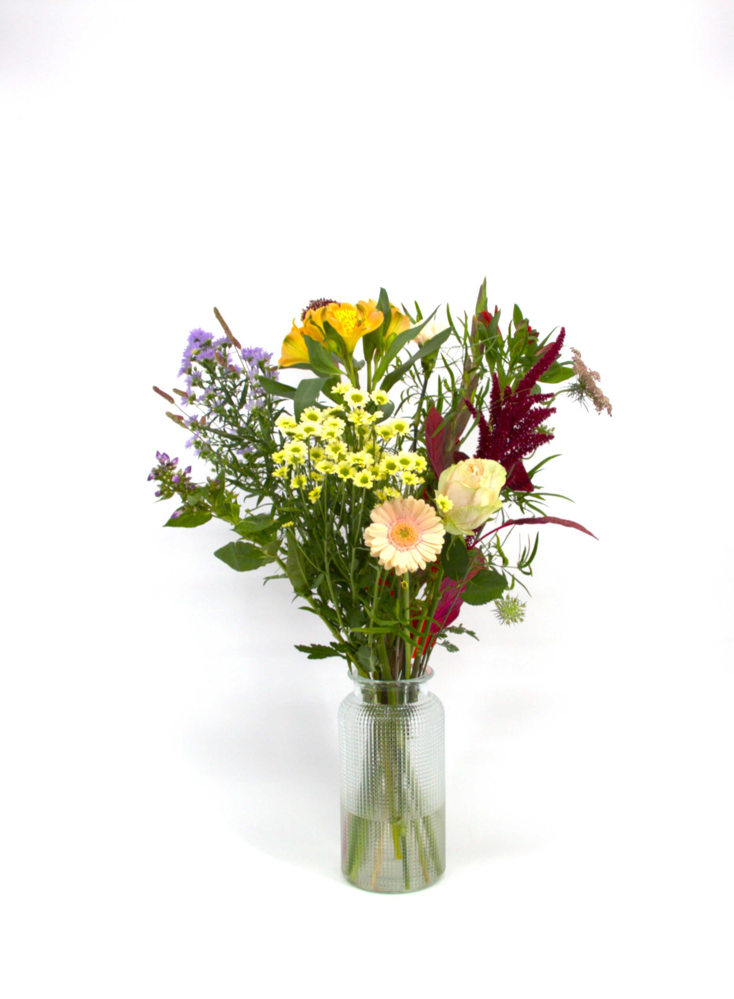 Lief_image_2