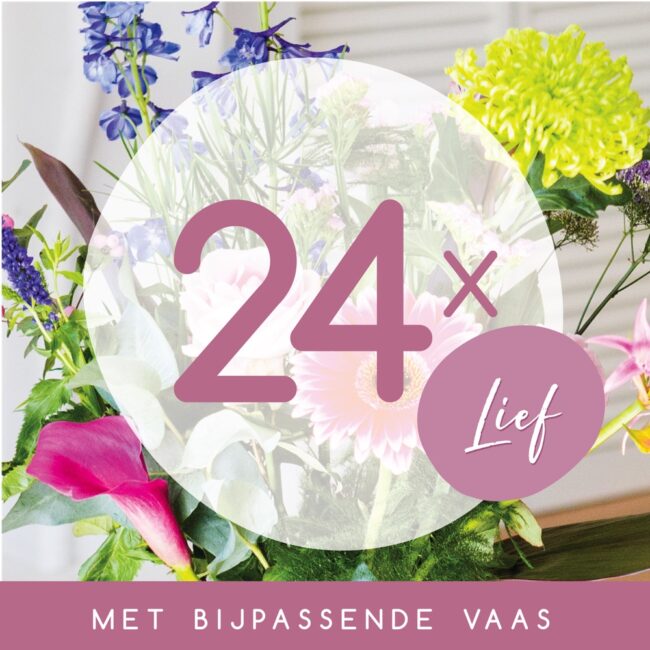 24_LIEF_Product Tegel_rz