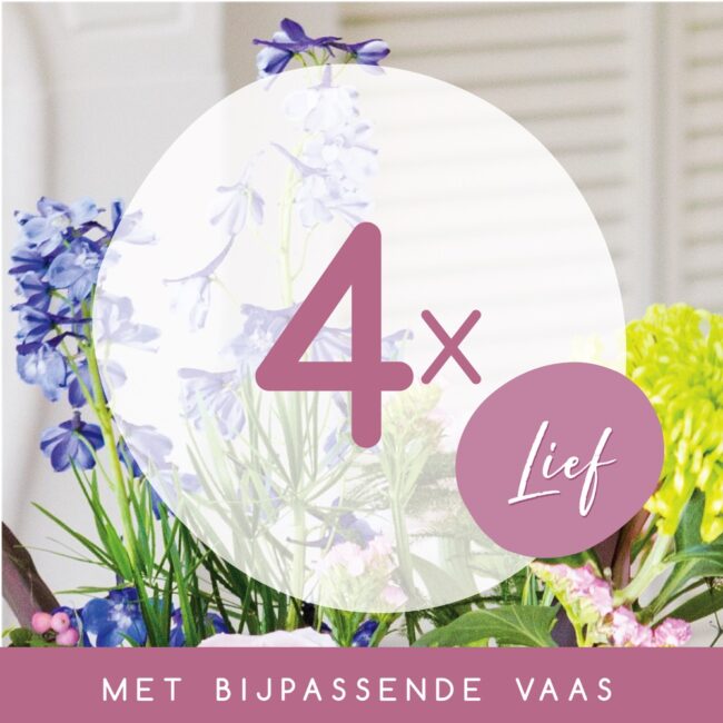 4_LIEF_Product Tegel_rz