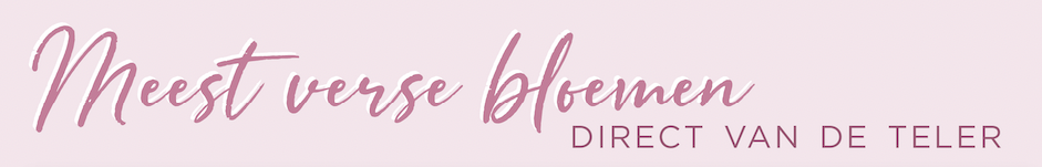 text-banner-bloemenvandeteler-home