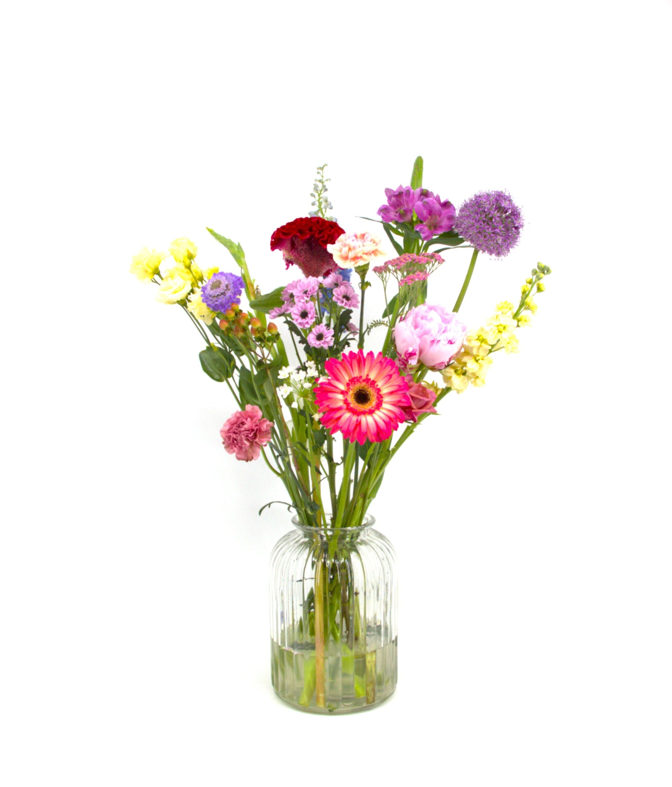 Heel Lief IMG_2922