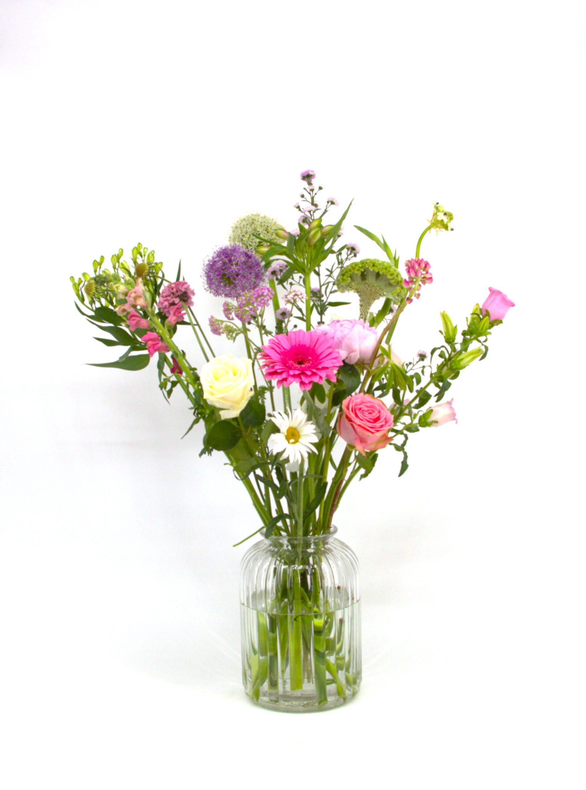 Heel Lief IMG_2938