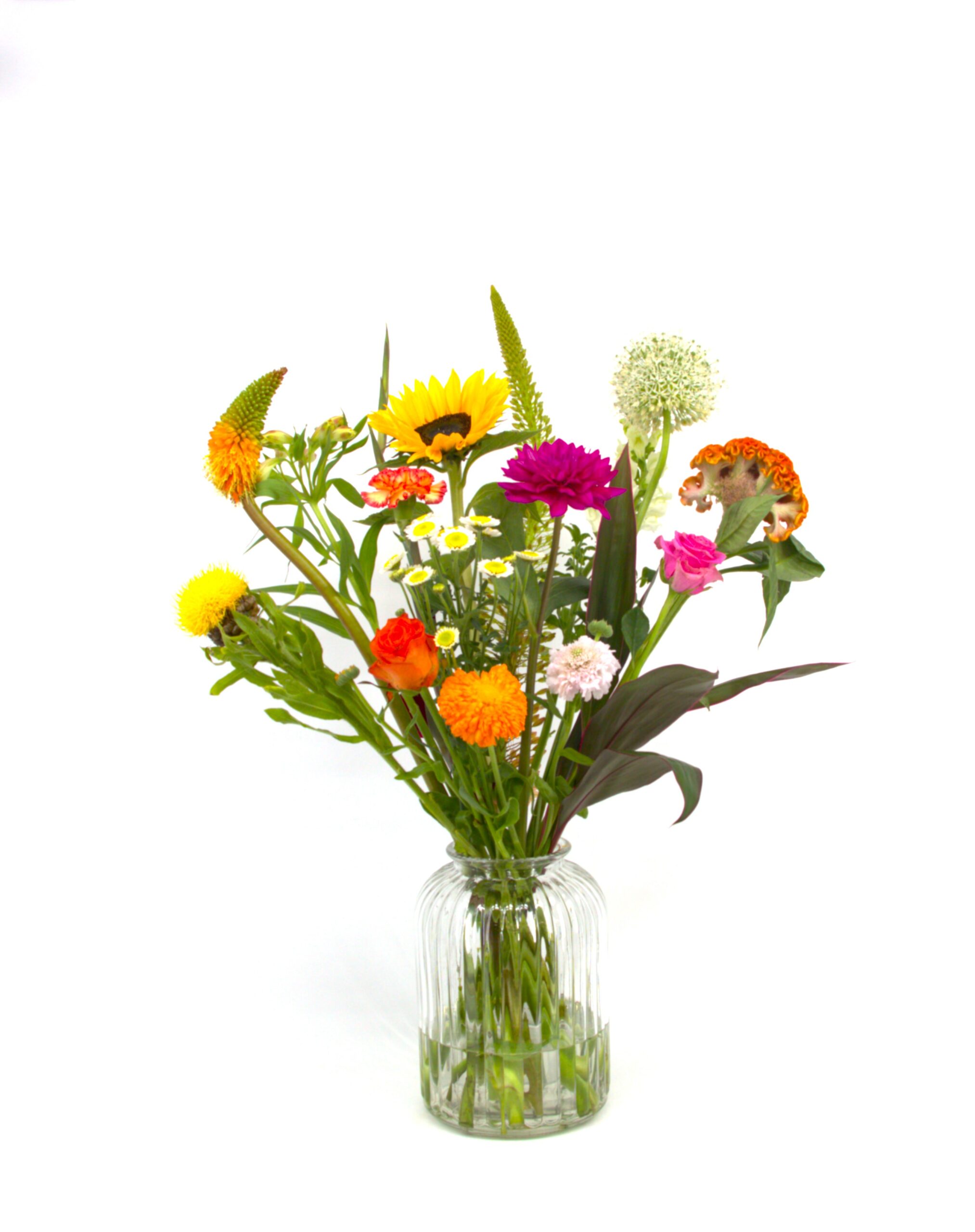 Heel Lief IMG_3036