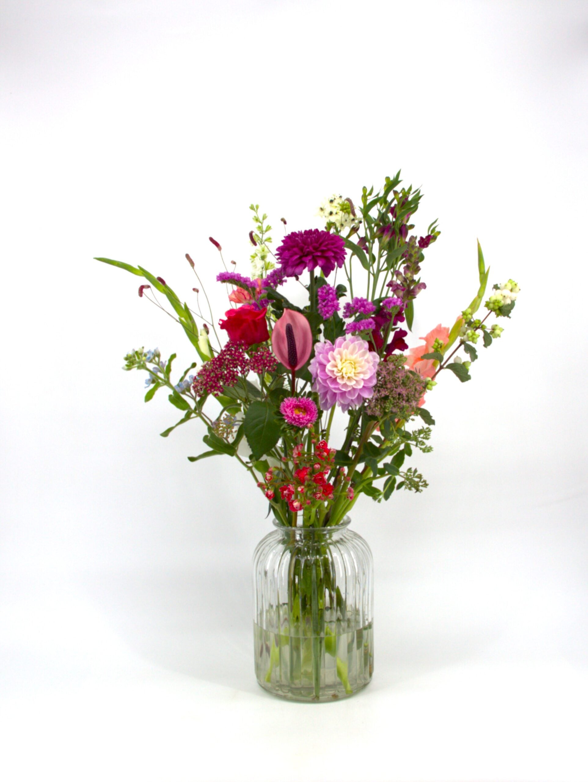 Heel Lief IMG_3244