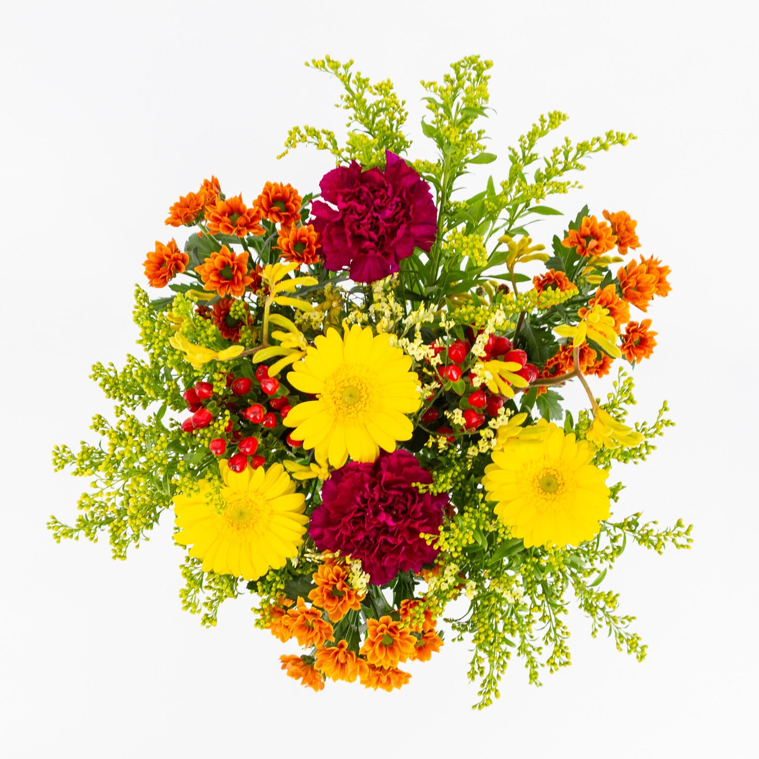 Charmant IMG_1270 Charmant IMG_1270