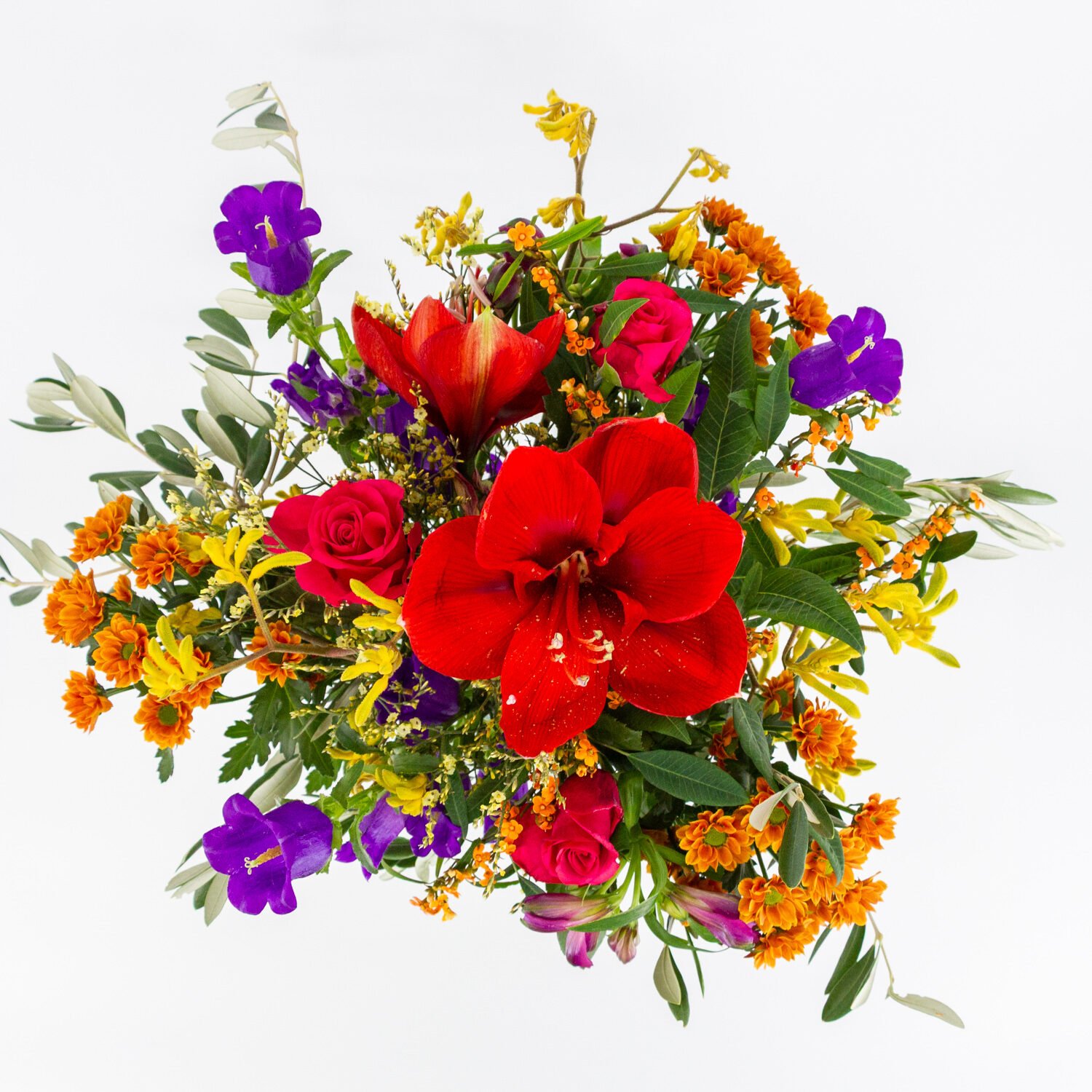 Heel Charmant IMG_1330 Heel Charmant IMG_1330