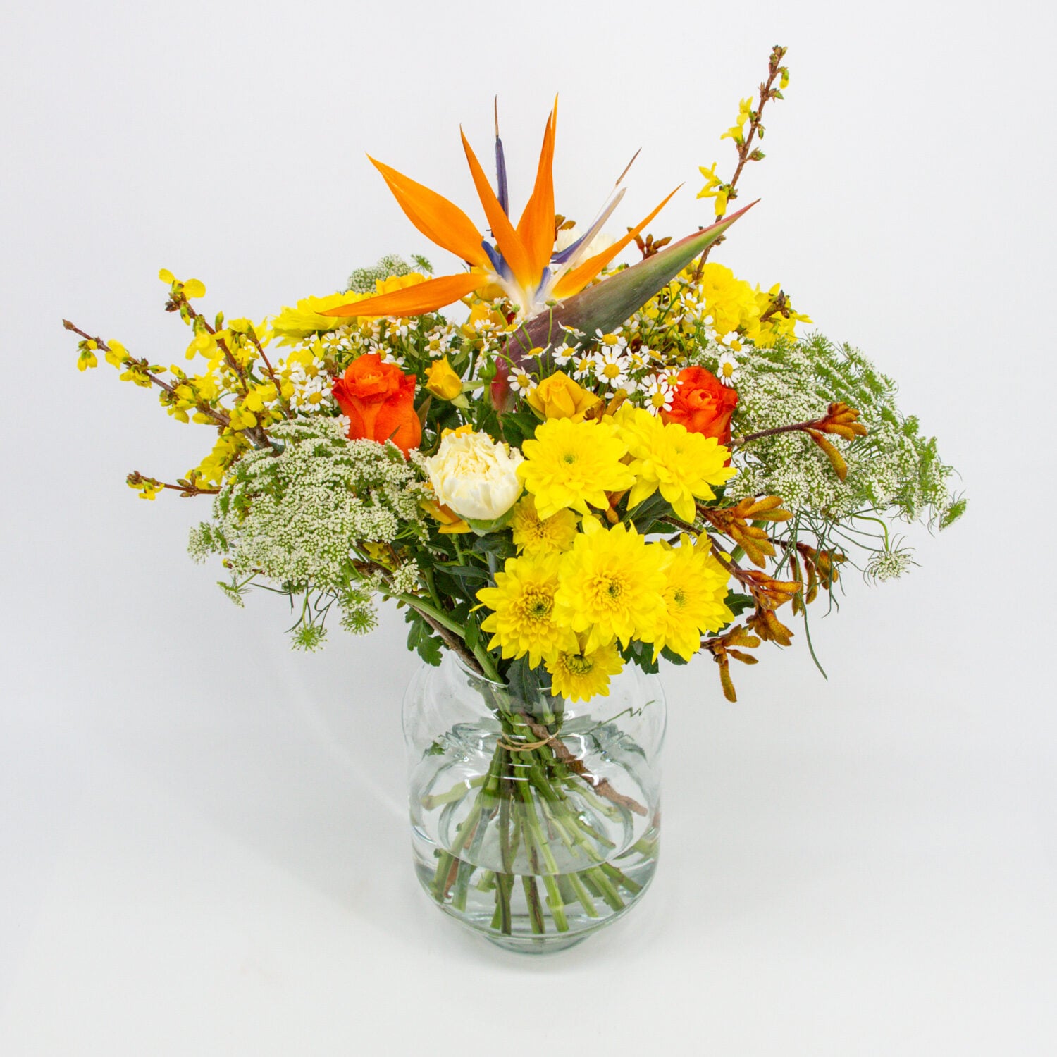 Heel Charmant IMG_2599