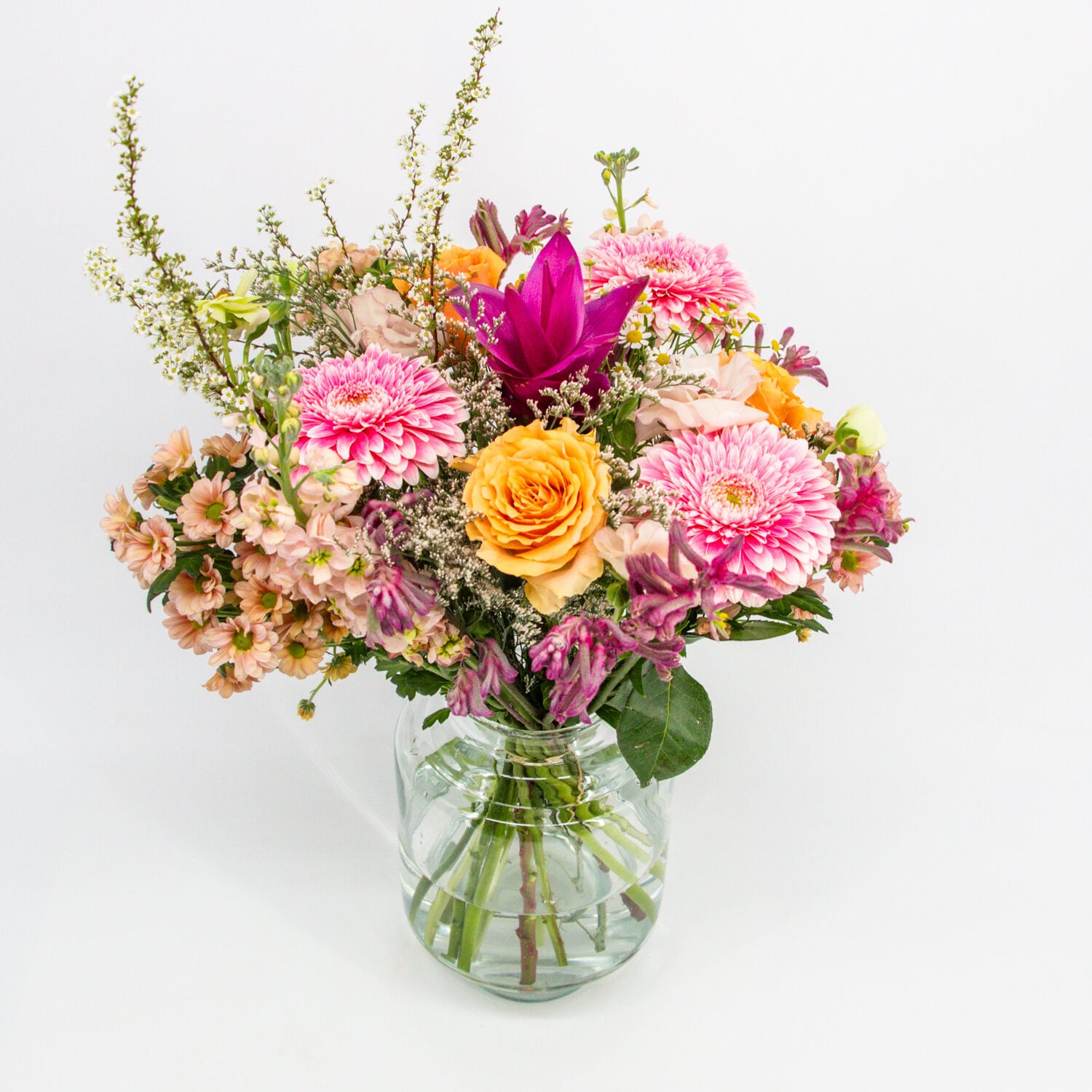 Heel Charmant IMG_2686