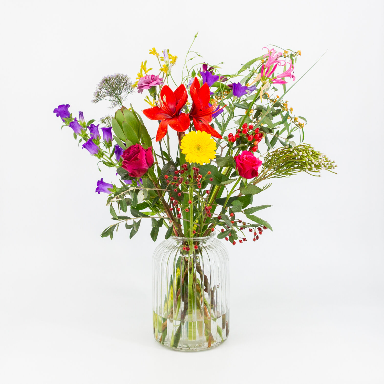 Heel Lief IMG_1321 Heel Lief IMG_1321