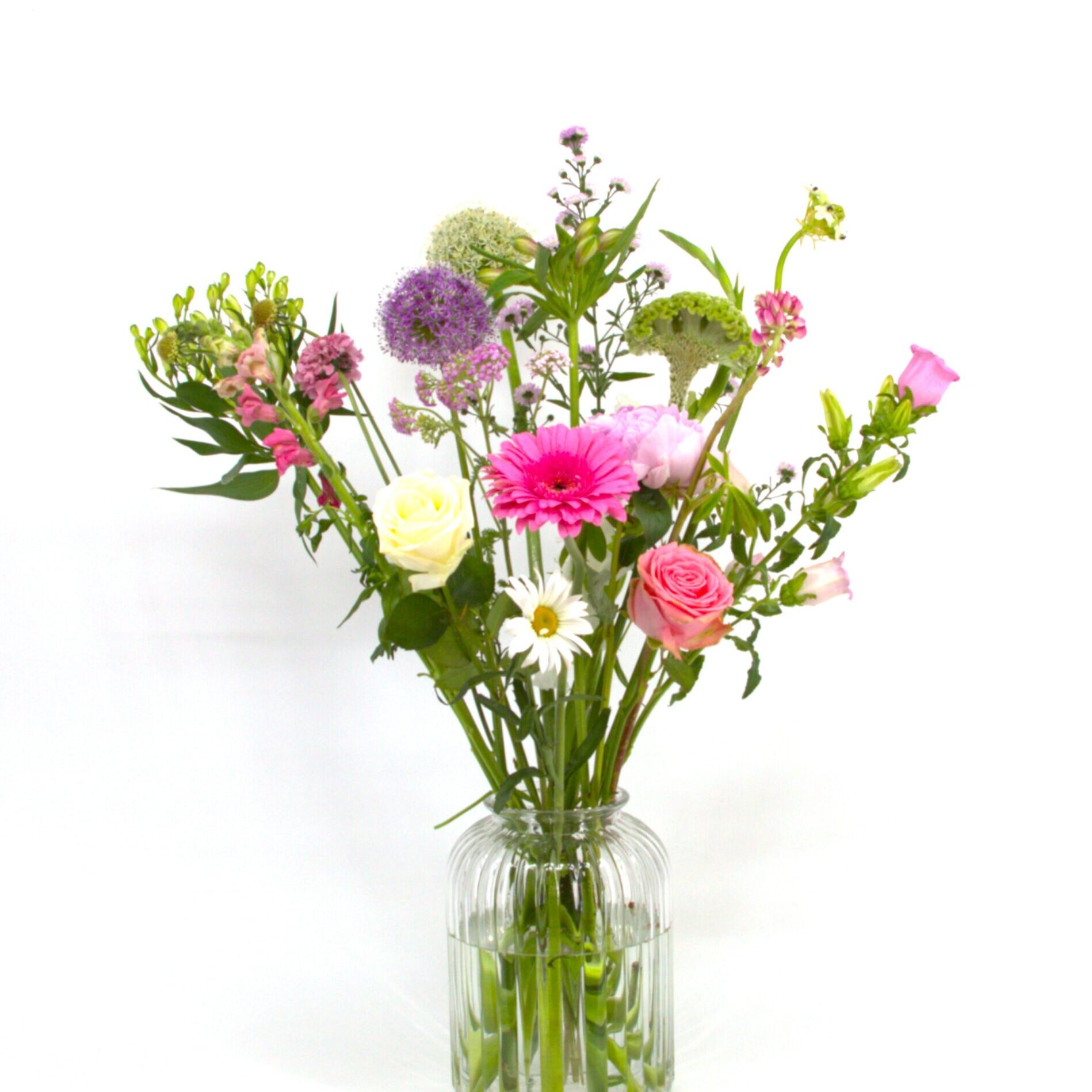 Heel Lief IMG_2938