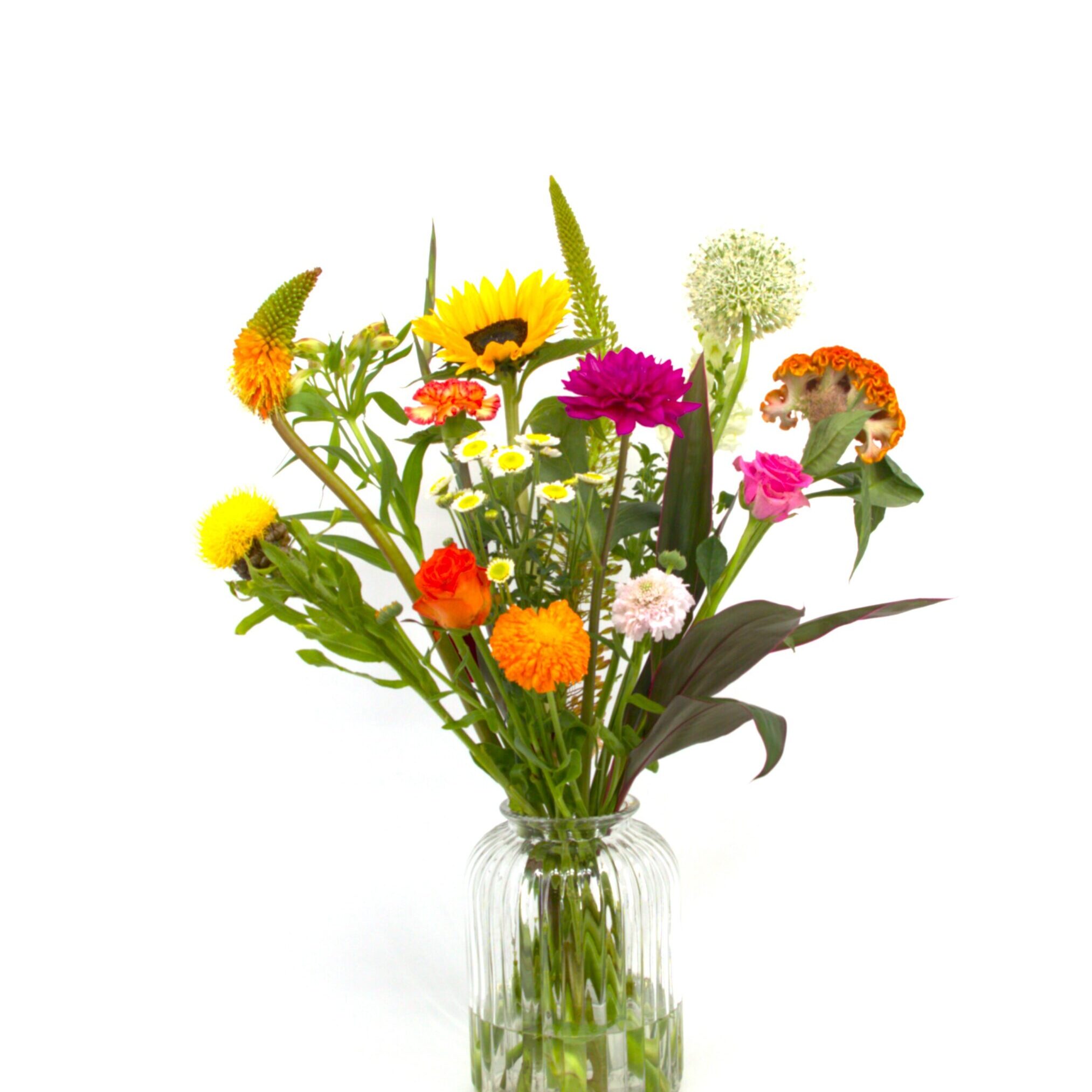 Heel Lief IMG_3036