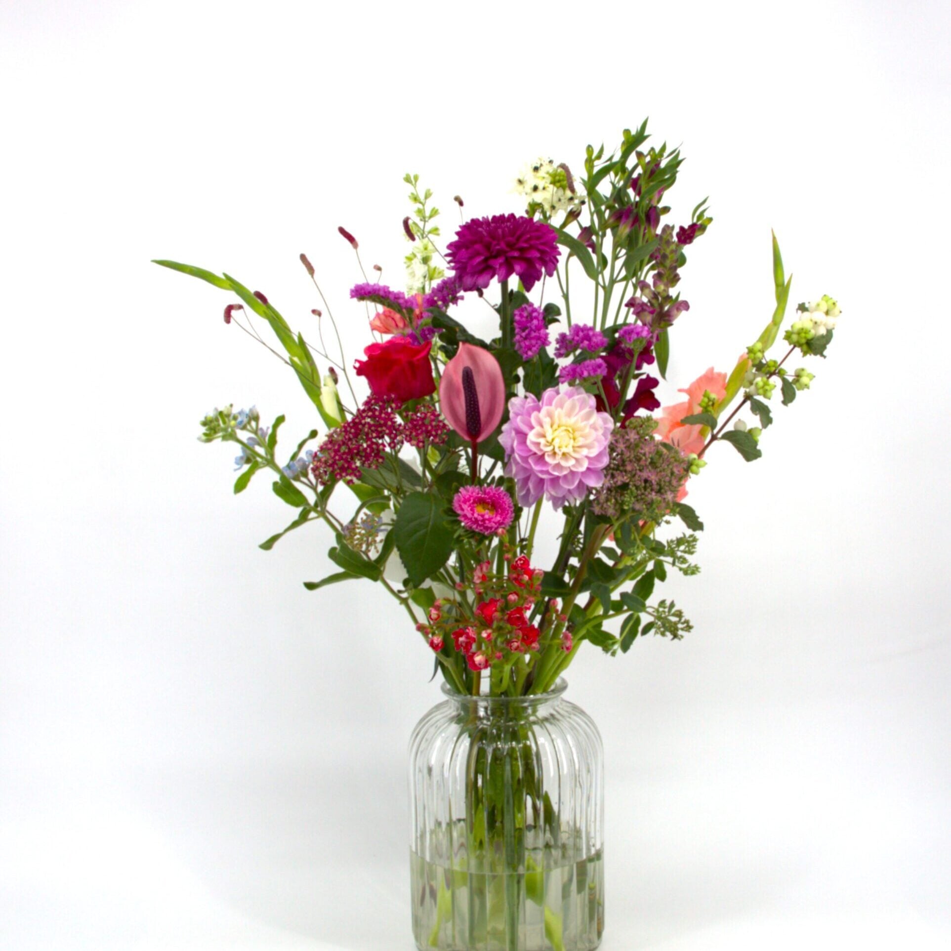 Heel Lief IMG_3244